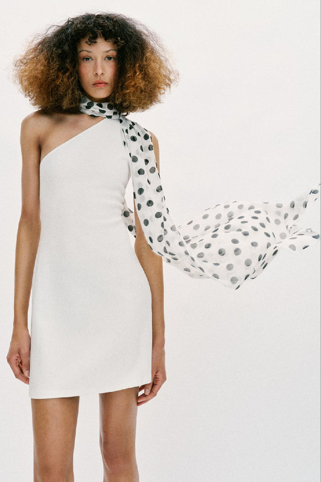 Polka Dot Scarf Mini Dress Hover Image